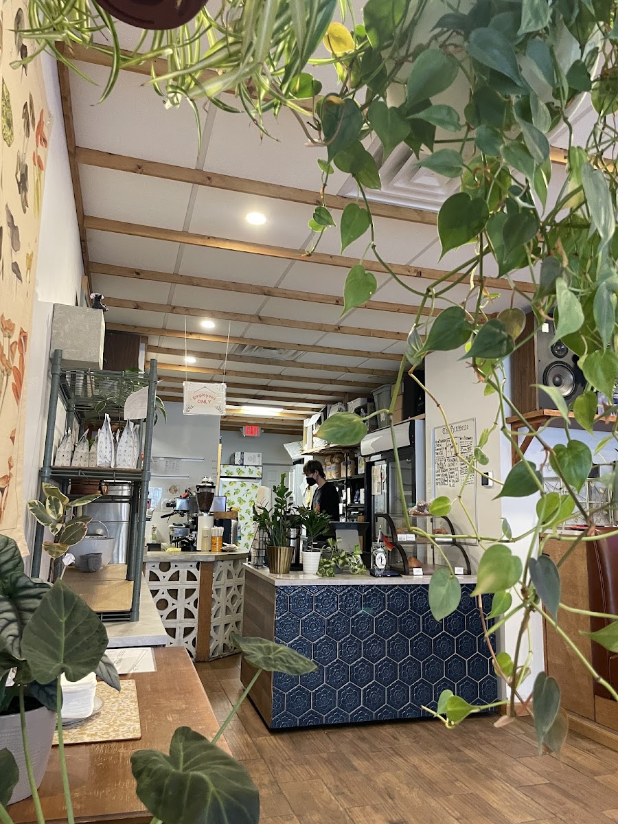 Glasser Coffee Co.-4