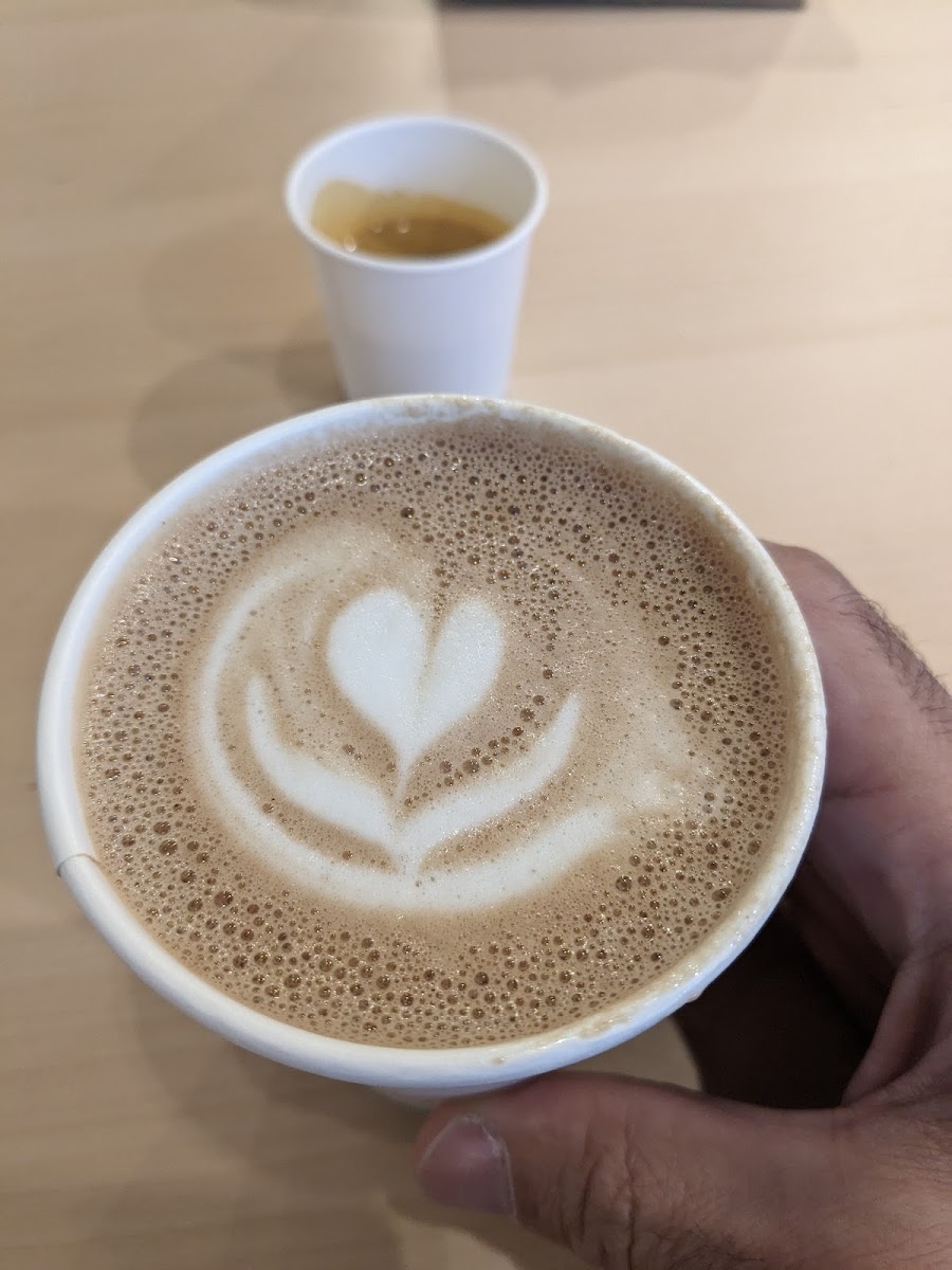 Glasser Coffee Co.-8